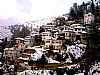 ΒΟΛΟΣ - ΓΥΡΟΣ ΠΗΛΙΟΥ