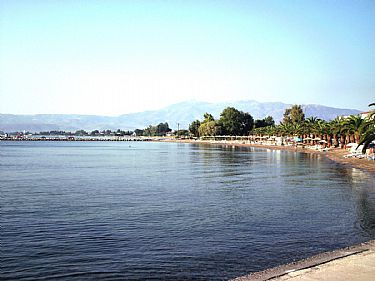 ΜΟΝΗ ΠΕΛΑΓΙΑΣ - ΛΙΒΑΝΑΤΕΣ
