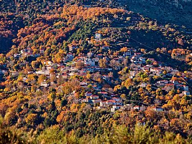 ΕΟΡΤΗ ΚΑΣΤΑΝΟΥ ΣΤΗΝ ΟΡΕΙΝΗ ΑΡΚΑΔΙΑ // ΑΝΩ ΔΟΛΙΑΝΑ ΕΟΡΤΗ ΚΑΣΤΑΝΟΥ ΣΤΗΝ ΟΡΕΙΝΗ ΑΡΚΑΔΙΑ // ΑΝΩ ΔΟΛΙΑΝΑ