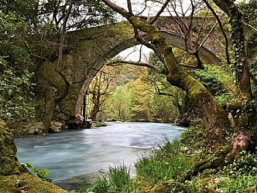 ΛΟΥΣΙΟΣ - ΚΑΡΥΤΑΙΝΑ