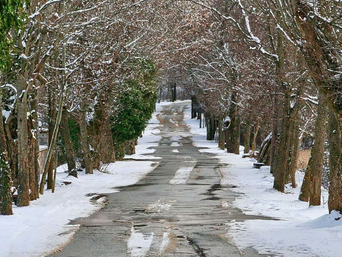ΧΡΙΣΤΟΥΓΕΝΝΑ / ΠΡΩΤΟΧΡΟΝΙΑ / ΘΕΟΦΑΝΕΙΑ ΣΤΗΝ ΟΡΕΙΝΗ ΑΡΚΑΔΙΑ