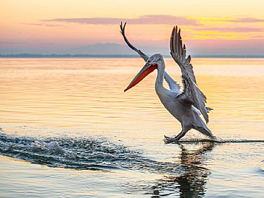 ΘΕΣΣΑΛΟΝΙΚΗ - ΛΙΜΝΗ ΚΕΡΚΙΝΗΣ