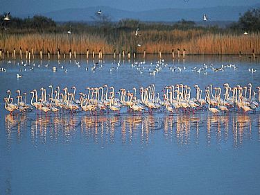 ΘΡΑΚΗ - ΠΟΜΑΚΟΧΩΡΙΑ - ΞΑΝΘΗ - ΔΕΛΤΑ ΕΒΡΟΥ