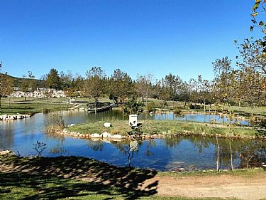 ΛΙΜΝΗ ΜΟΥΣΩΝ - ΚΑΤΑΡΡΑΚΤΕΣ ΠΕΤΡΑΣ - ΑΛΙΑΡΤΟΣ - ΕΥΑΓΓΕΛΙΣΤΡΙΑ